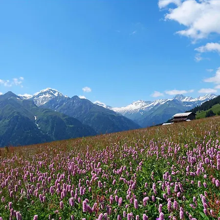 Refuge Du Souffle Alpin De Montagne A