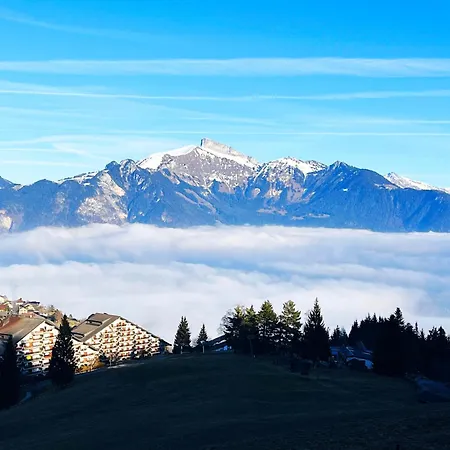 Appartement Mountain In - Refuge Du Souffle Alpin Torgon