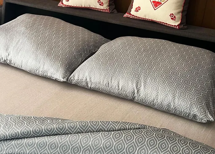 Mountain In - Refuge Du Souffle Alpin * Torgon