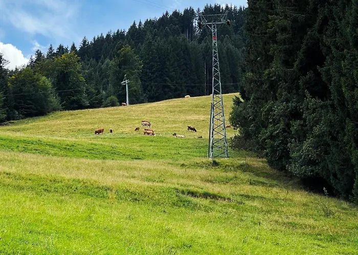 Mountain In - Refuge Du Souffle Alpin 公寓