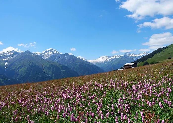 Mountain In - Refuge Du Souffle Alpin
