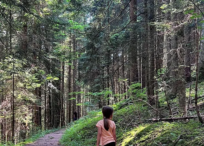 Mountain In - Refuge Du Souffle Alpin Torgon